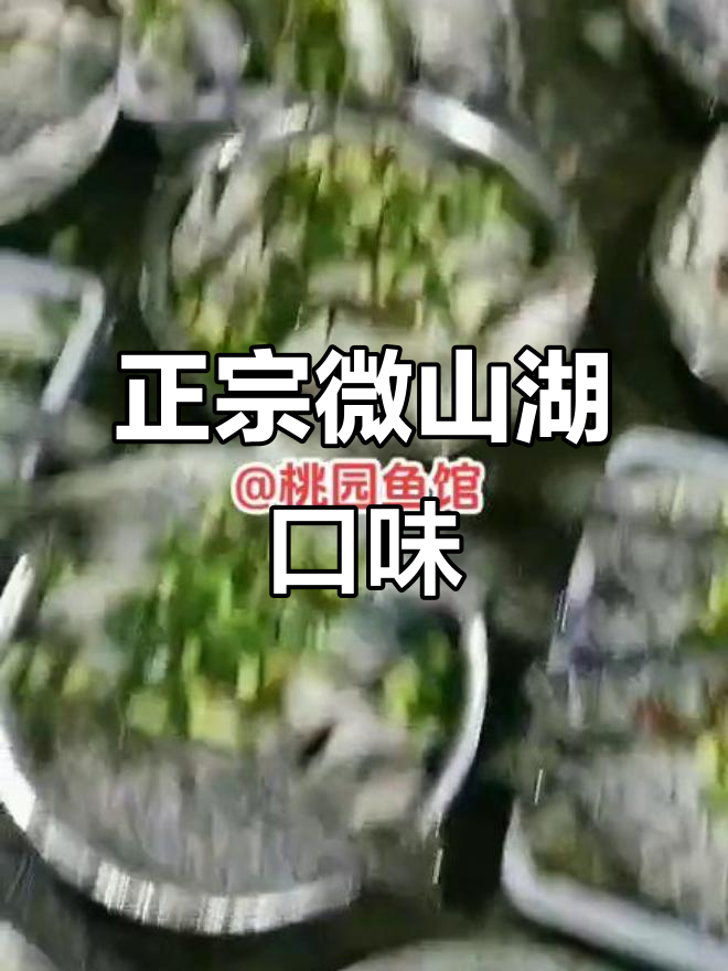 微山湖风味鱼馆,地道美味不容错过