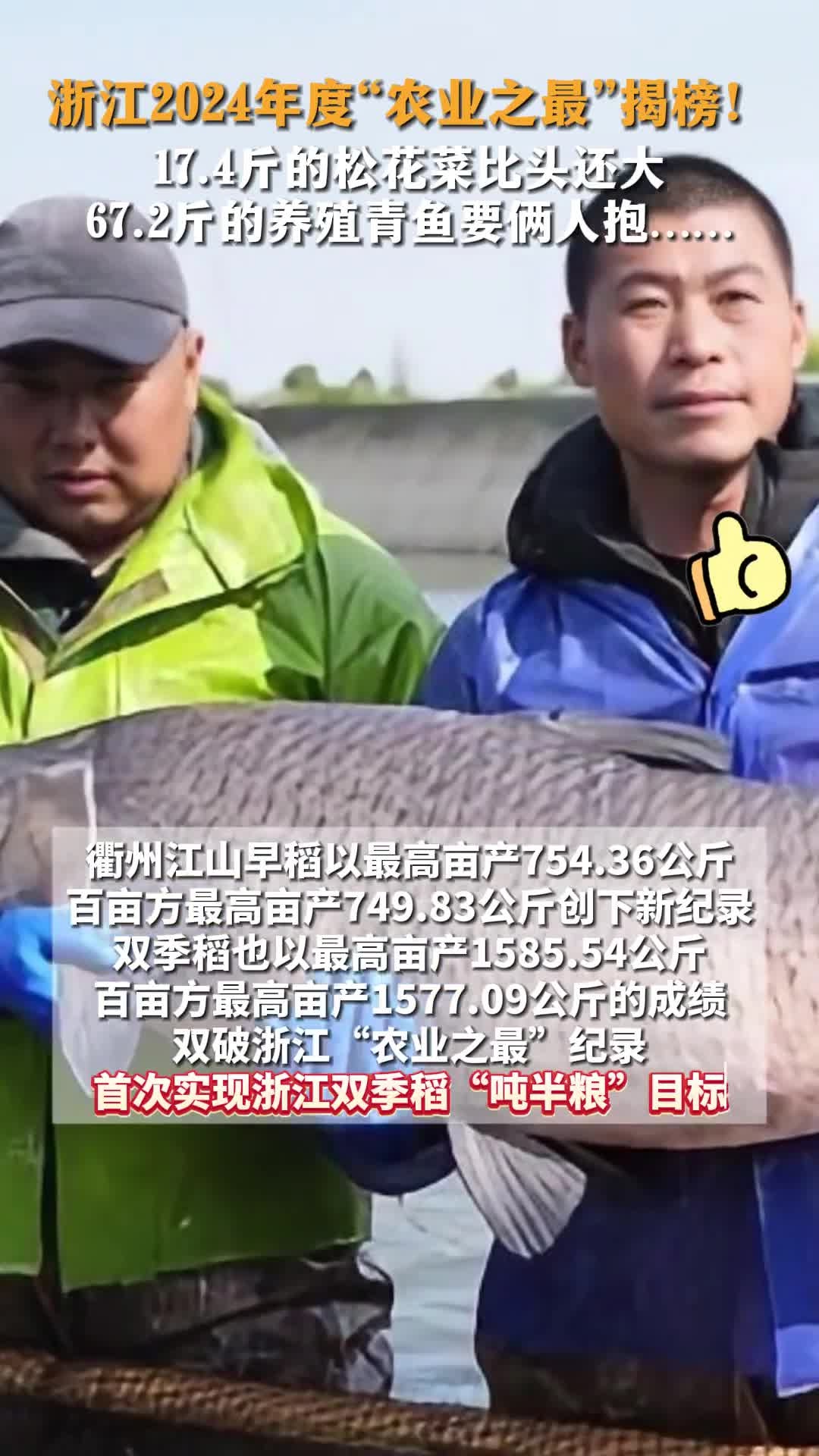 浙江2024年度农业之最揭榜,17.4斤的松花菜比头还大,67.2斤的养殖青鱼要俩人抱……