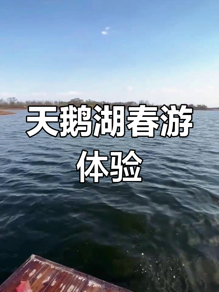 春天天鹅湖度假区,享受自然与美食