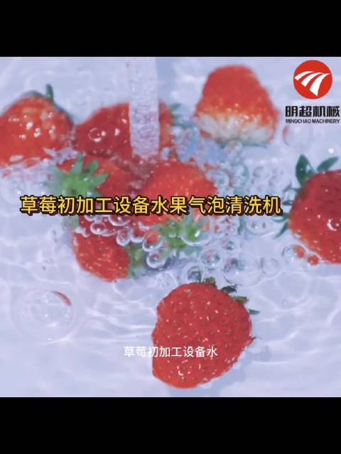 草莓初加工设备水果气泡清洗机采用SUS304不锈钢网带,运行平稳、使用寿命长,符合食品卫生