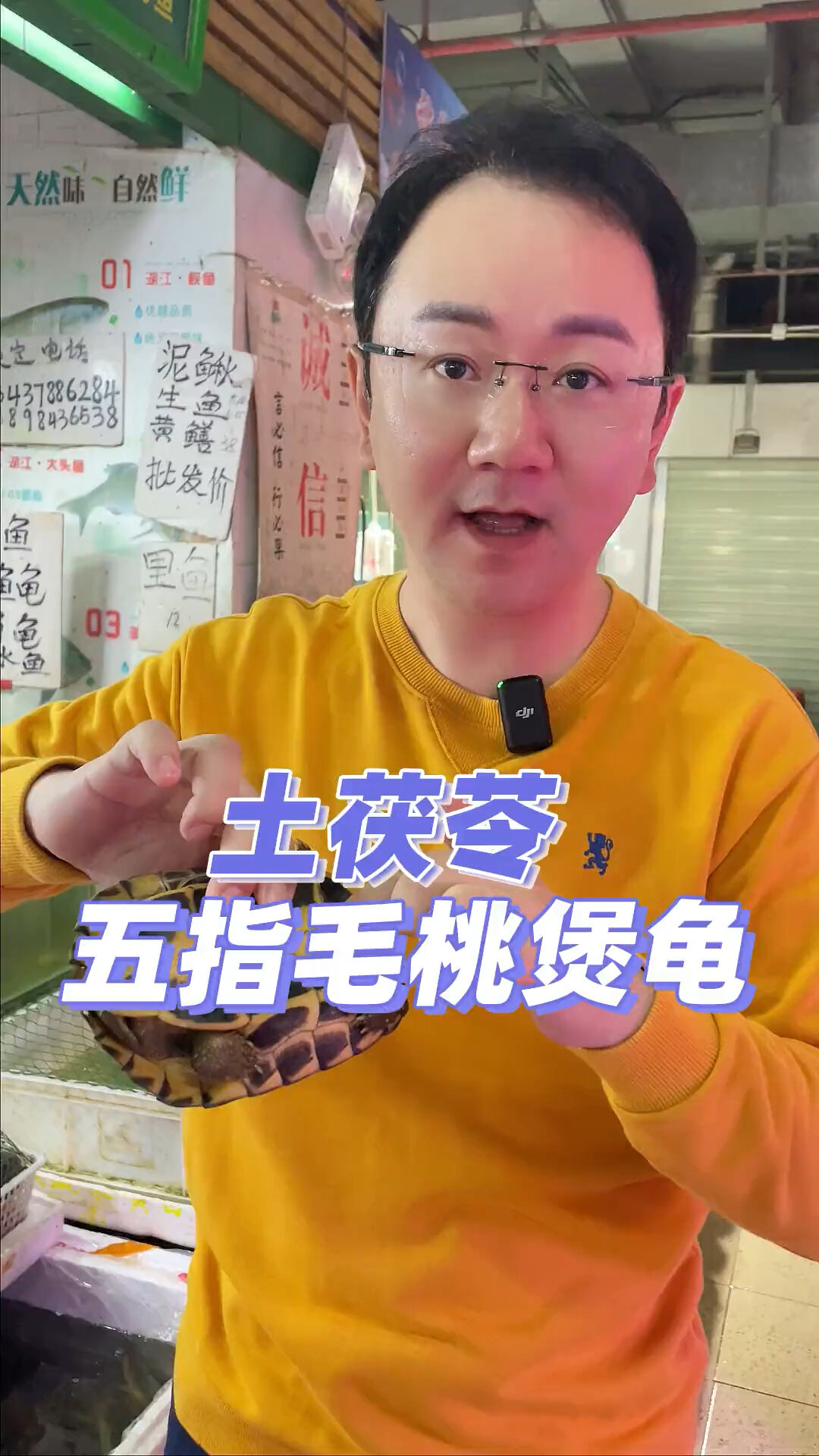 石金钱龟煲汤教程参考