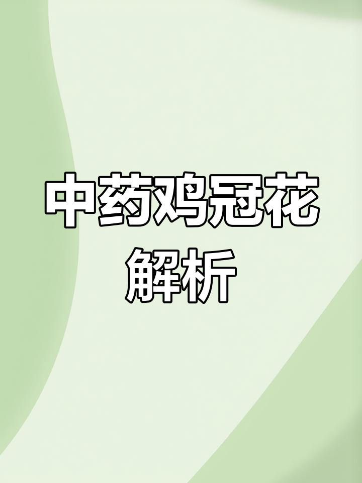 鸡冠花的功效与应用