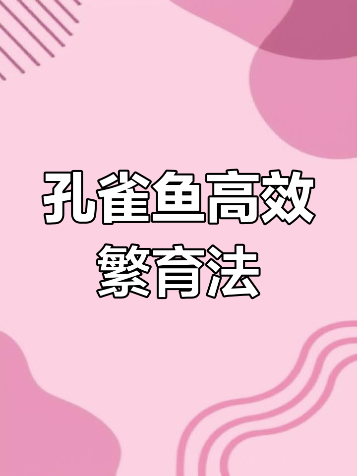 孔雀鱼繁殖技巧:如何提高成活率与生长速度