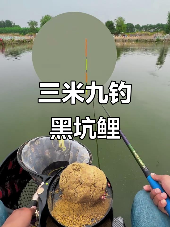 黑坑钓鱼挑战：三米九线组抛竿，鲤鱼终于上钩！