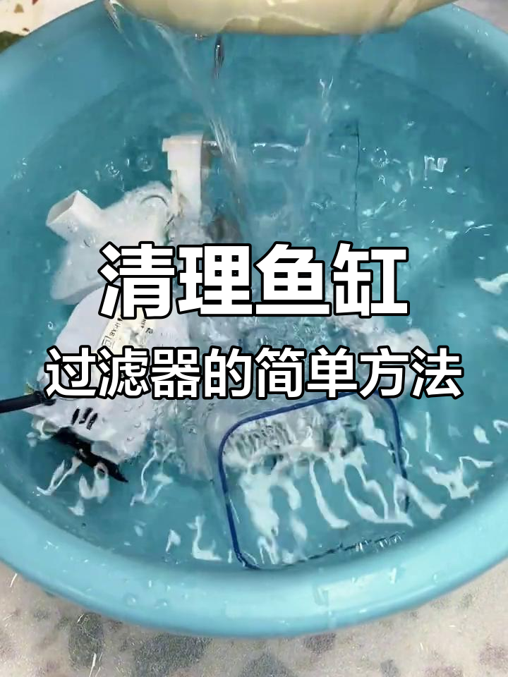 鱼缸过滤器清洗大作战,步骤全解析