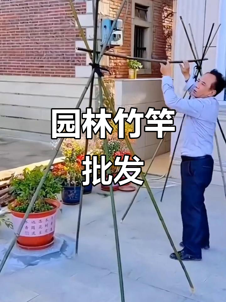 庭院爬藤竹竿,园艺菜架支撑杆批发