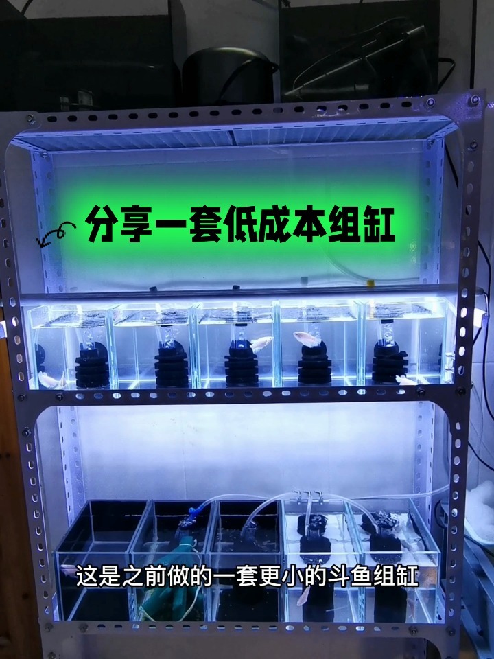 分享一套低成本组缸制作教程