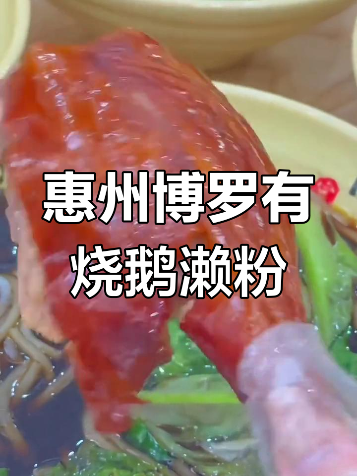 惠州博罗新发现!正宗烧鹅濑粉,汤底任选骨汤或生地