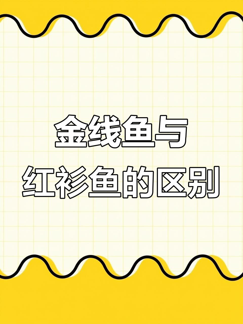 如何区分金线鱼和红杉鱼的独特特征,哪种更好吃?