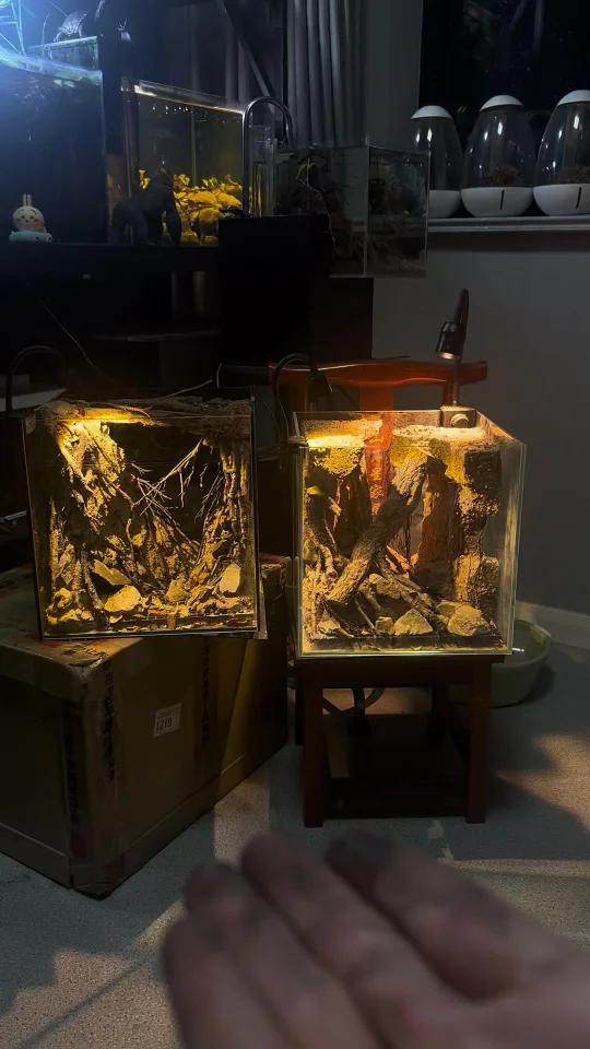 泥风格鱼缸洞穴造景