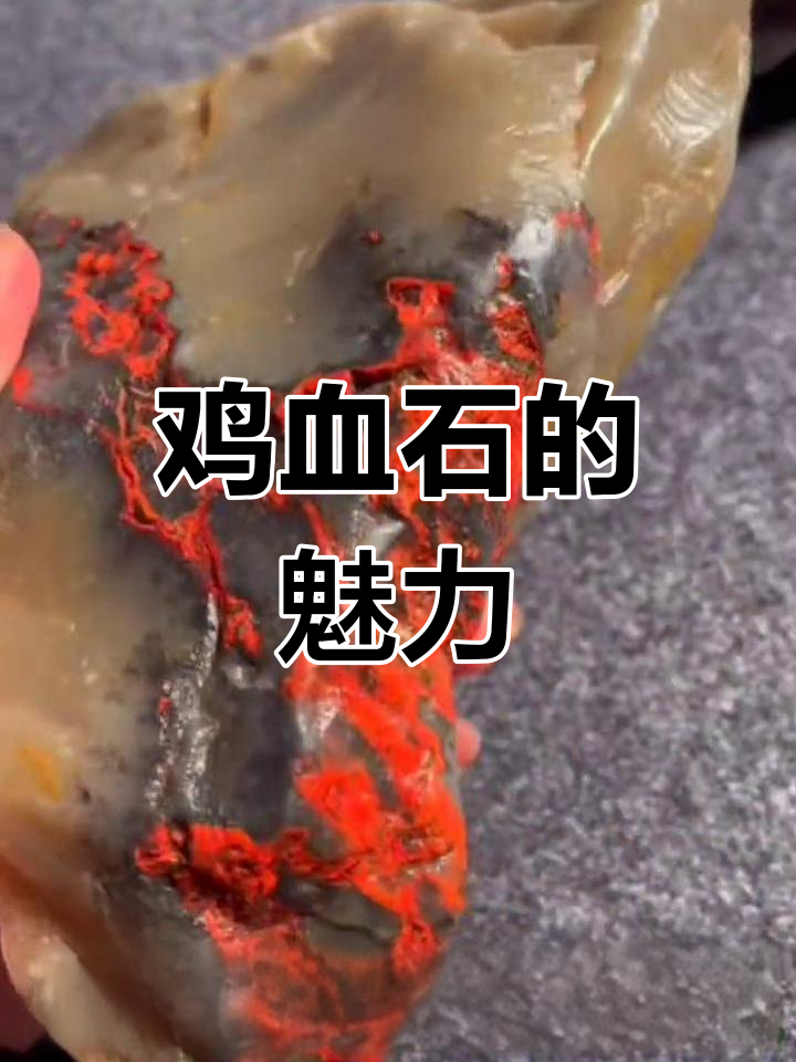 巴林鸡血石,四大国宝之一,收藏爱好者必看!