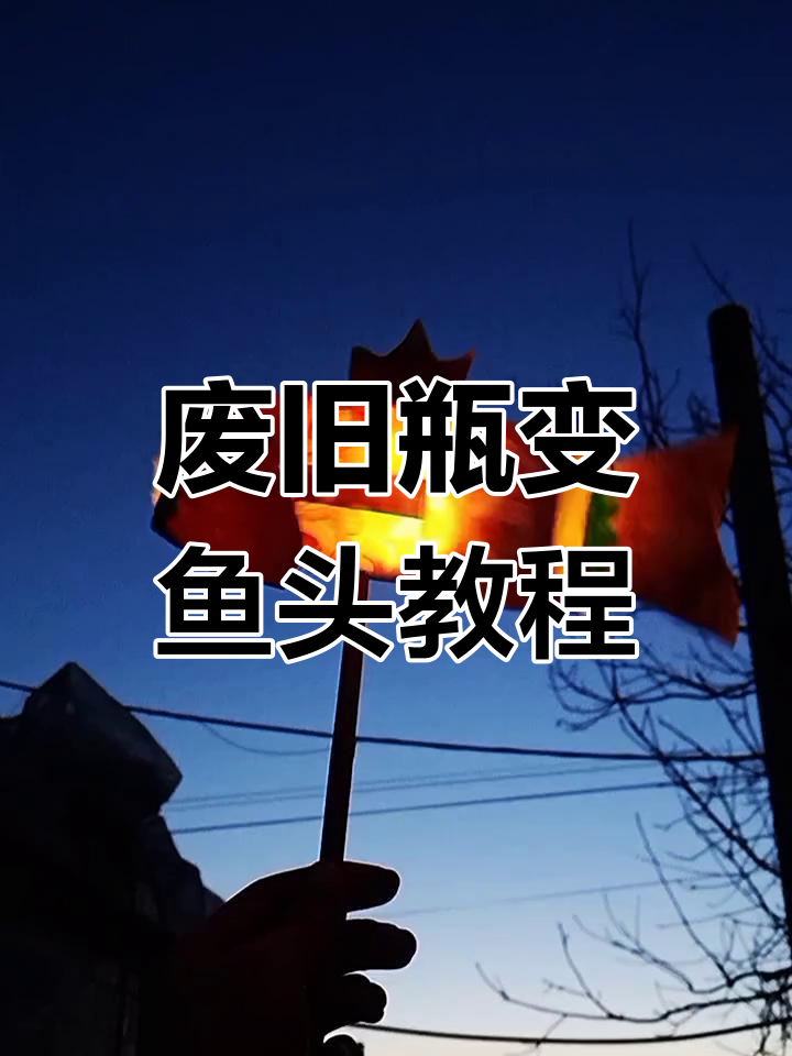 用矿泉水瓶做鱼头,简单又有趣的DIY手工项目