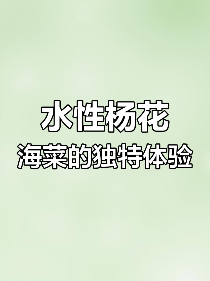 第二次尝试这种奇特的海菜,名字叫水性杨花海菜