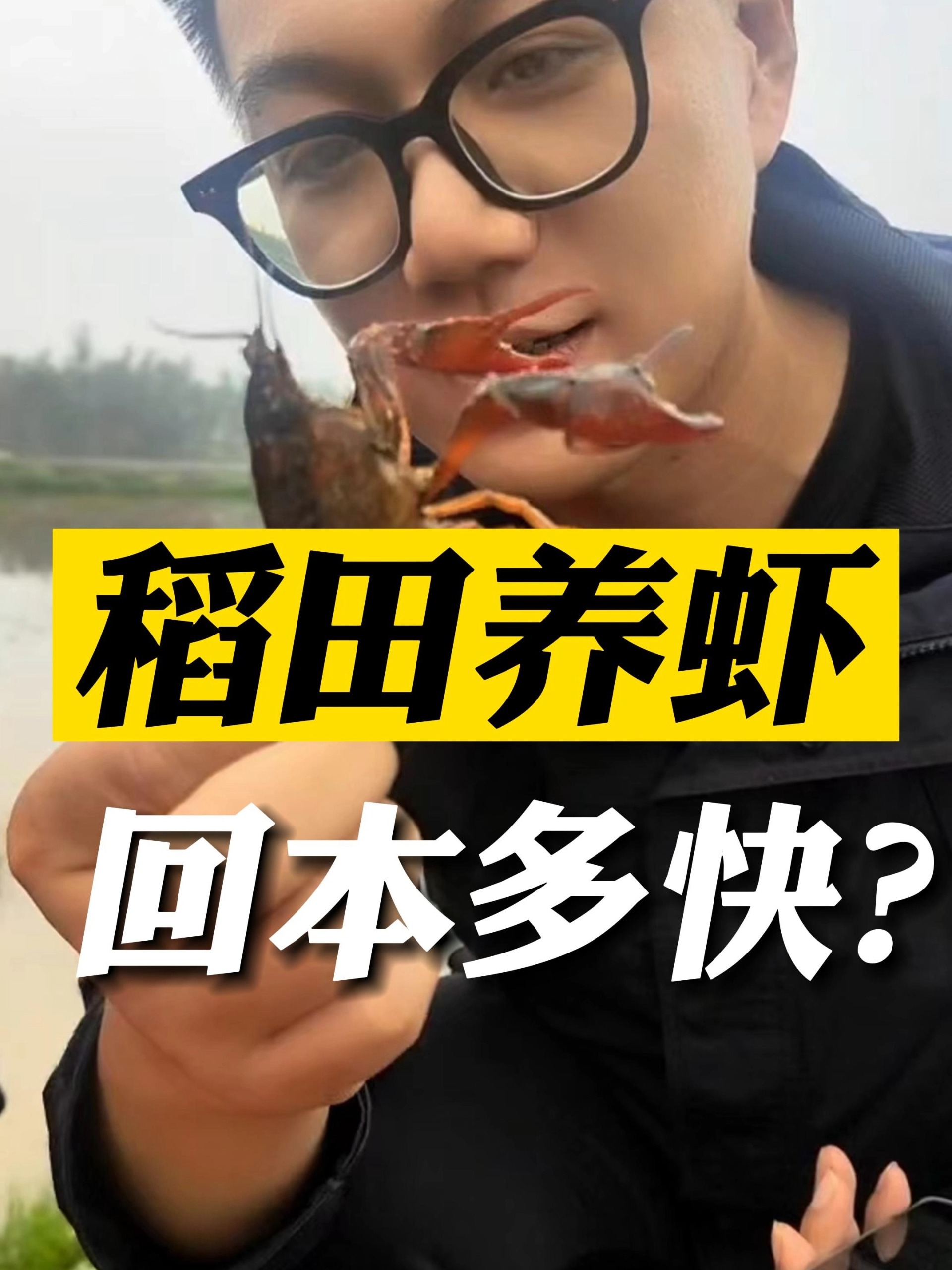 稻田养虾回本有多快?