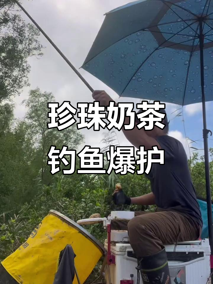 用珍珠奶茶钓鱼,竟然爆护!钓到飞起