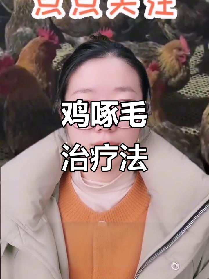 鸡秃尾掉毛,啄羽原因及治疗方法