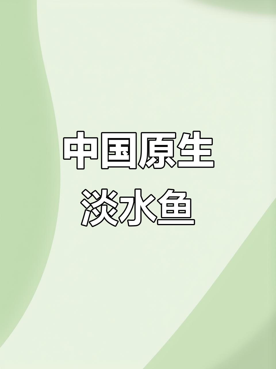 探秘中国淡水原生观赏鱼:鳑鲏的自然之美