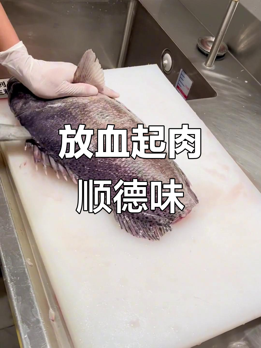 顺德鱼生放血技巧,黑瓜子搭配更美味