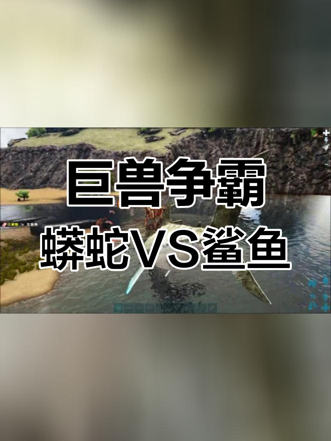 巨型蟒蛇与鲨鱼对决,谁更强?