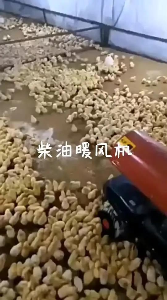 柴油工业暖风机取暖器大面积节能取暖大棚 调节温控大棚用暖风机