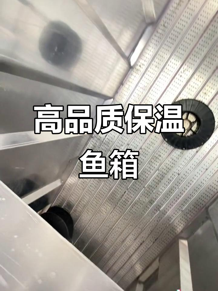 高效保温鱼箱，多孔制氧设计提升运输效率