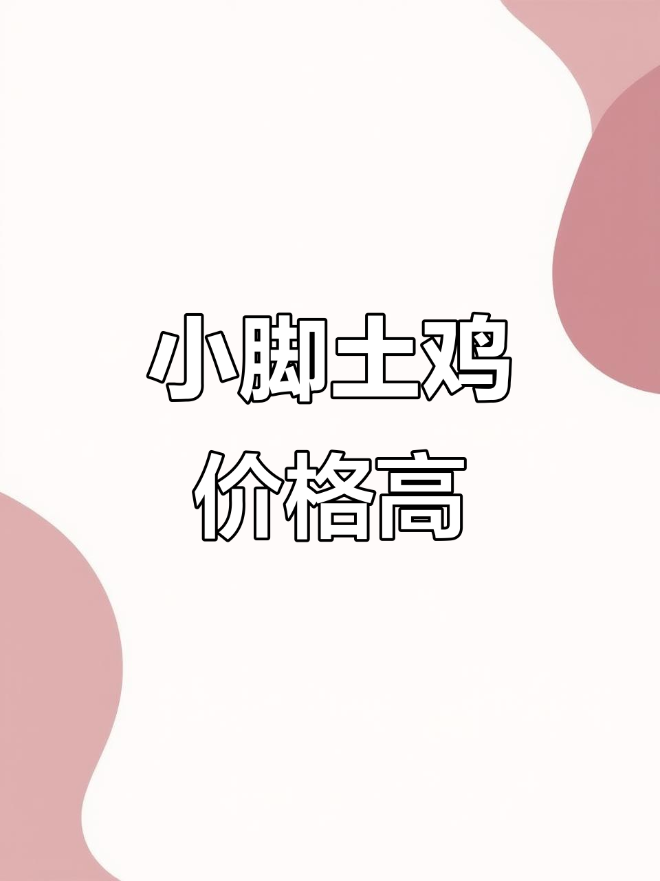真正的土鸡,一斤卖60元!林下放养的小脚土鸡揭秘