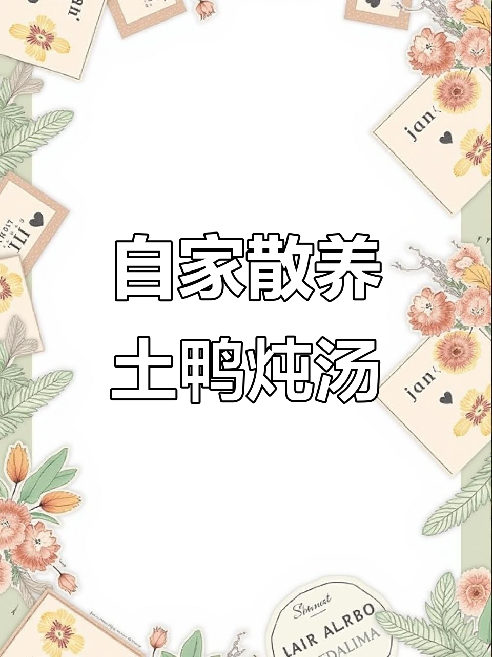 农家土鸭炖汤,肉质鲜嫩无腥味,营养满满