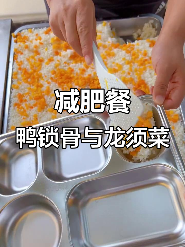 减肥训练营午餐大揭秘,鸭锁骨配苦菊凉拌菜超美味