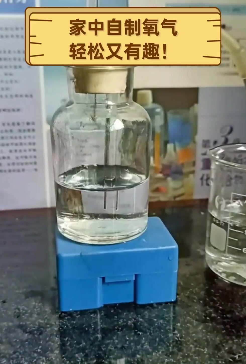 家中自制氧气,轻松又有趣!