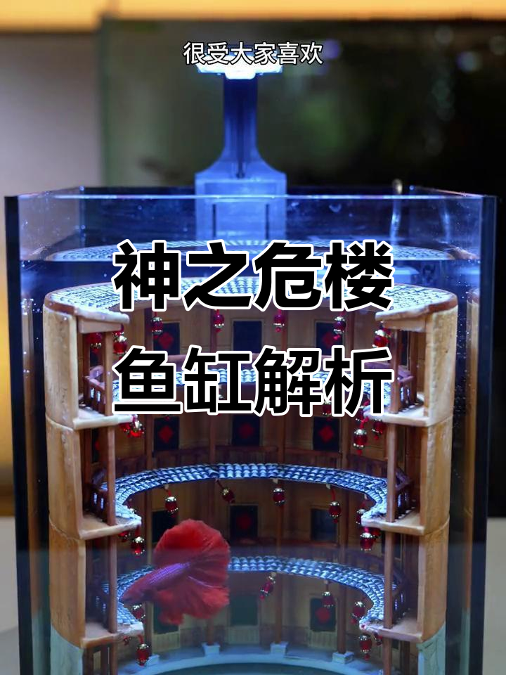 为什么这个鱼缸这么贵?揭秘神之危楼的设计与工艺