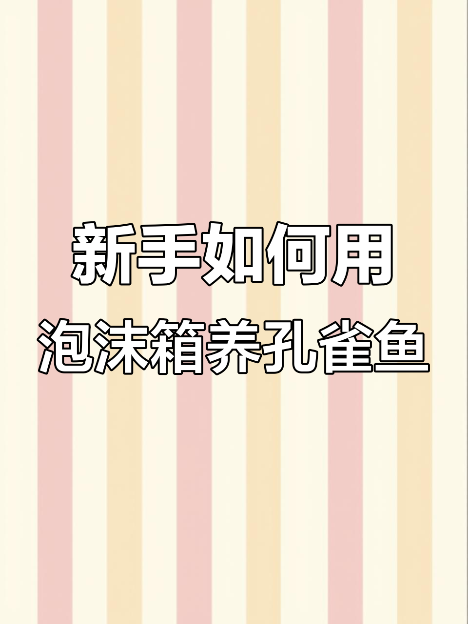 泡沫箱养孔雀鱼，新手必看技巧与注意事项