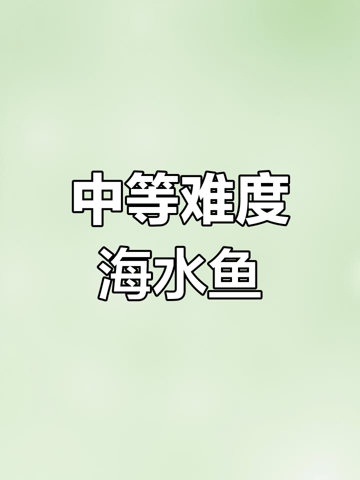 国王神仙饲养指南:珊瑚兼容与食物选择