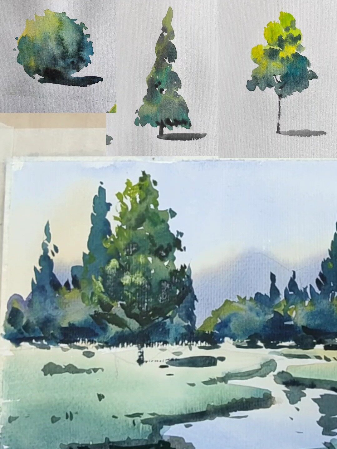 风景画之树木的画法(四)森林的画法