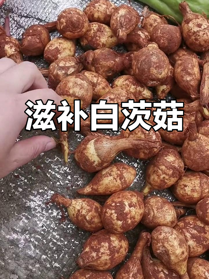 白茨菇炖汤,滋补身体,与鹅鸭搭配更佳!