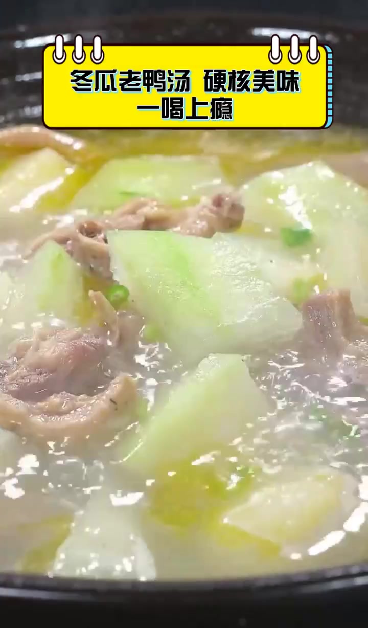 冬瓜老鸭汤,硬核美味,一喝上瘾