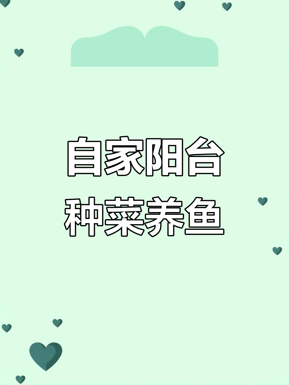 小伙在阳台打造鱼菜共生系统,自给自足不再买食材