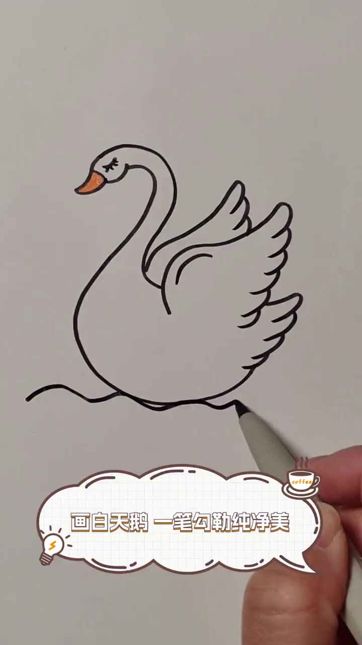 画白天鹅,一笔勾勒纯净美