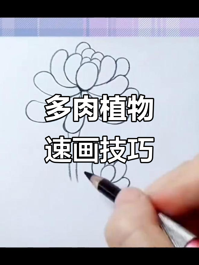 快速画出可爱多肉植物，简单步骤教你轻松上手