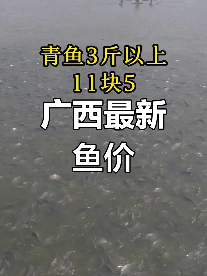 广西鱼价大揭秘:草鱼、花鲢、青鱼等价格一览