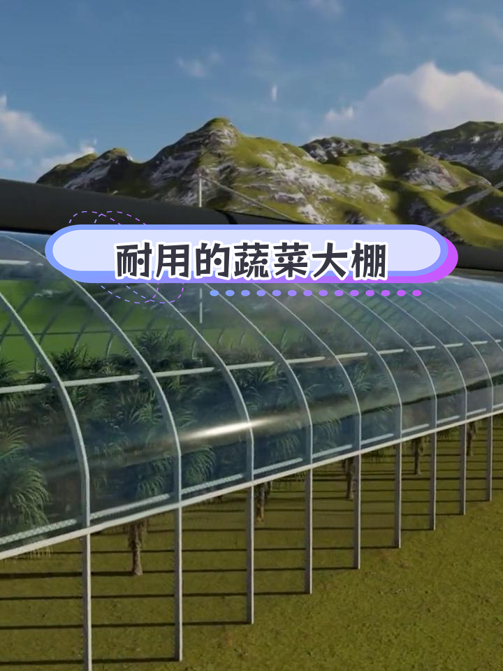 高标准蔬菜大棚,20年耐用无需更换