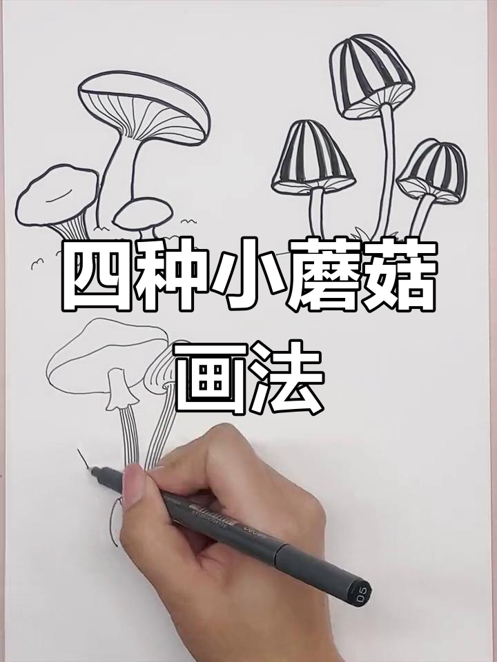 绘制四种蘑菇,轻松掌握简笔画技巧