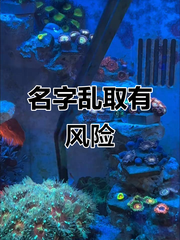 给海缸新成员取名字,结果真让人哭笑不得!