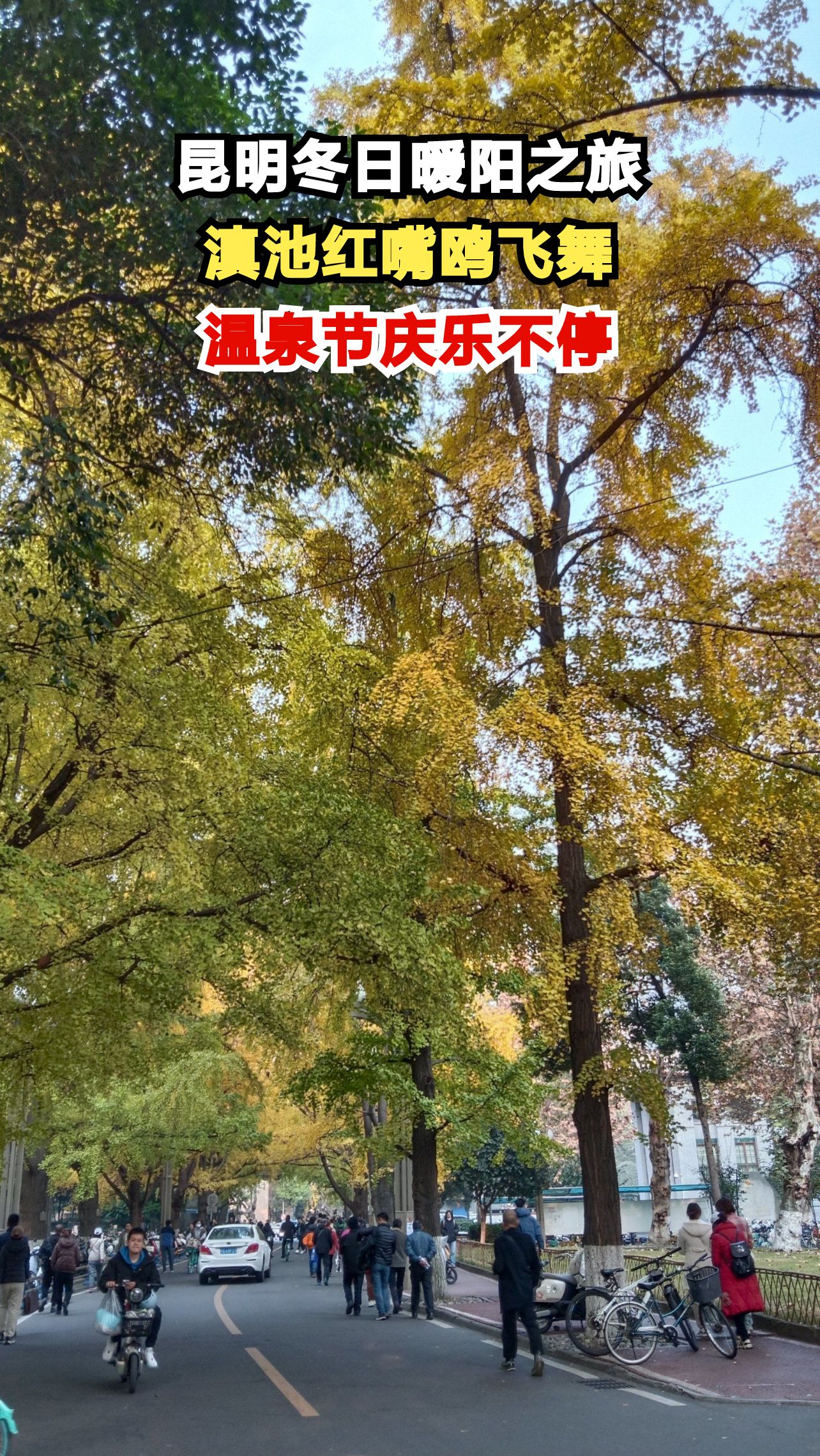 冬日昆明10大必体验,暖阳鲜花温泉全攻略