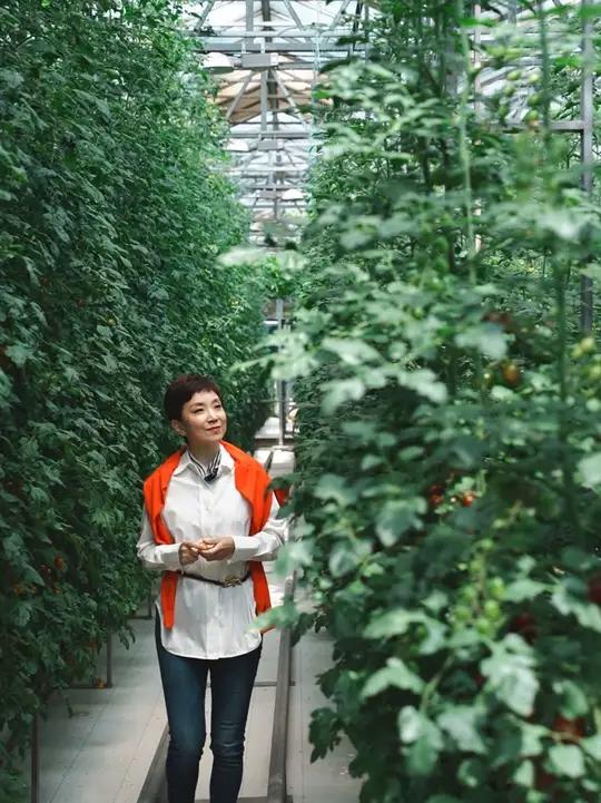 此菜非彼菜，哪个是你的“菜”？400斤重的南瓜、3米长的丝瓜、形态各异的茄子……在第二十六