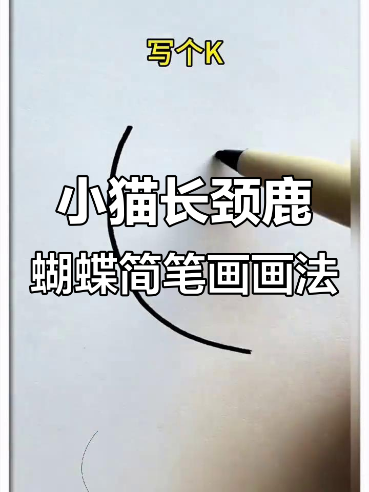 简单有趣的动物简笔画,轻松学会画小猫、长颈鹿和蝴蝶