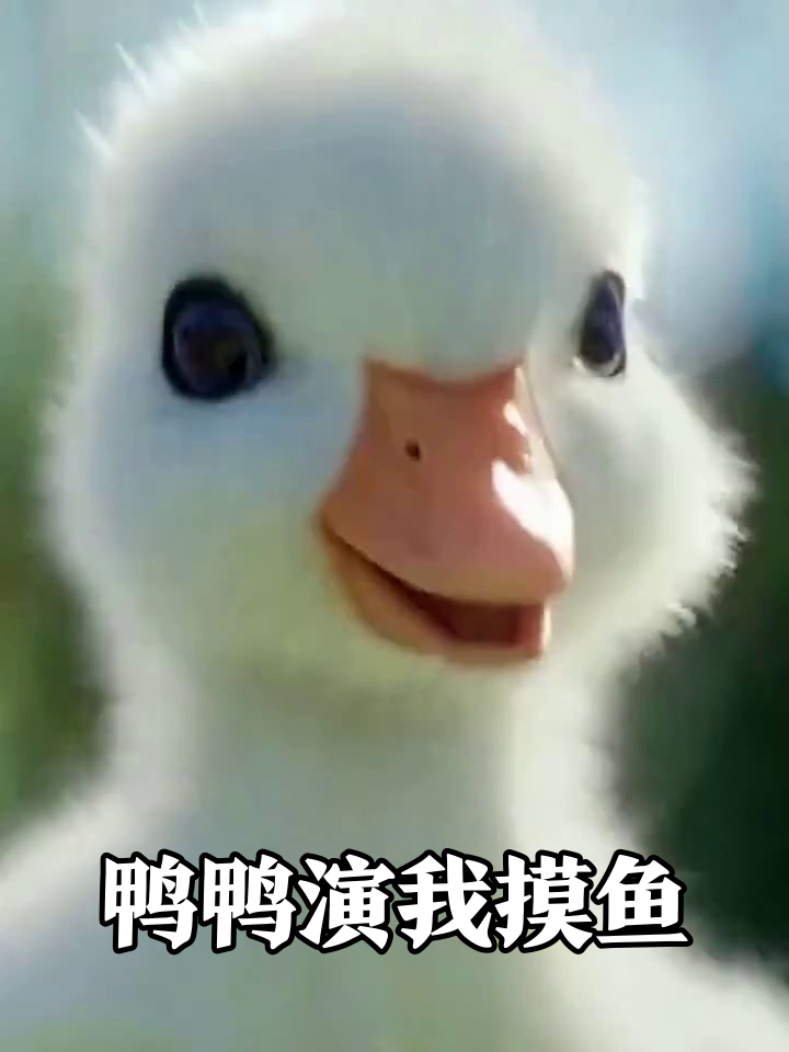 小鸭子成精了!单脚蹦迪偷看漫画,萌到心化