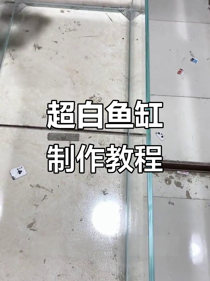 鱼缸粘合技巧大揭秘,手把手教你做超白缸