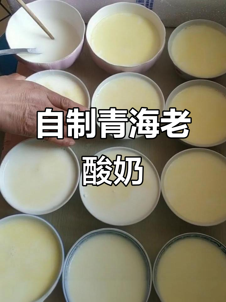 青海老酸奶的独特制作方法,简单又美味