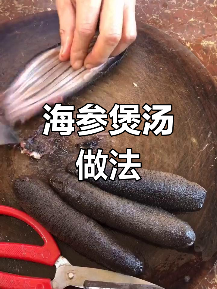 海参处理全攻略,煲汤技巧与功效揭秘