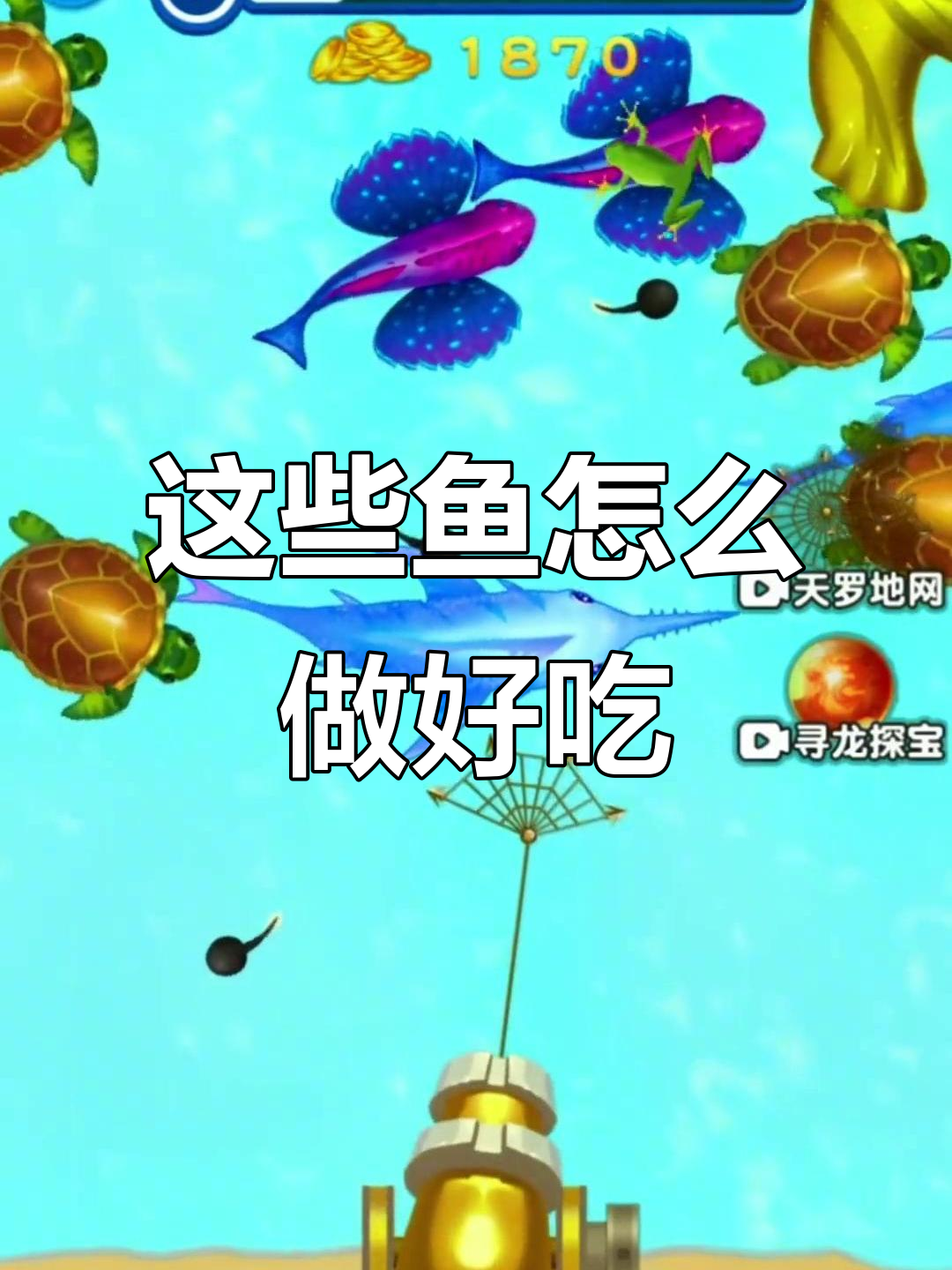 蝴蝶鱼、鲤鱼和鲨鱼的吃法大揭秘,王八也能清蒸!